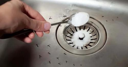 Mosquitoes at home, how to get them out immediately: they enter right here