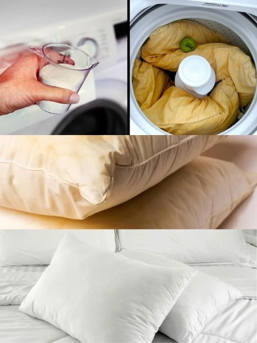 why your pillows turn yellow over time? And how can you restore them to their original freshness?