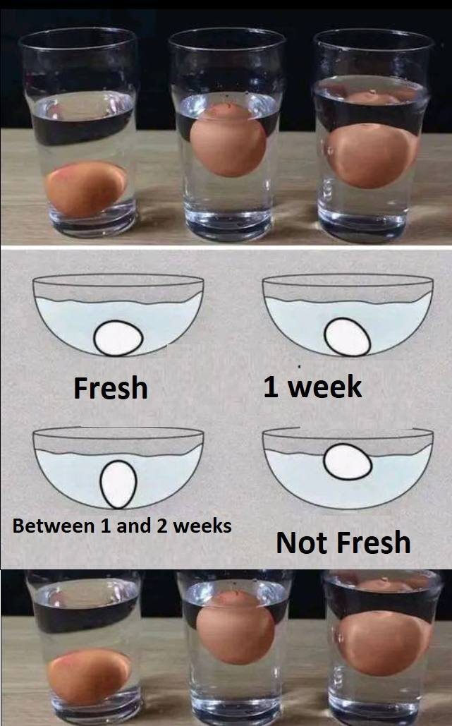 Five methods to determine if an egg is fresh or spoiled