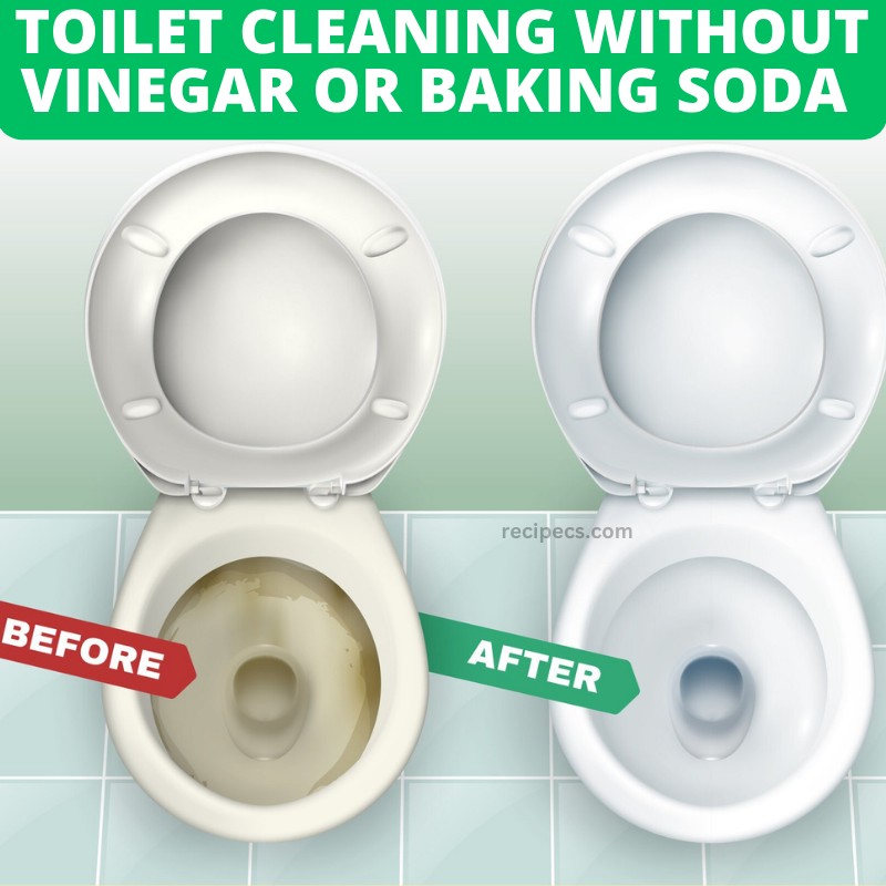 TOILET CLEANING WITHOUT VINEGAR OR BAKING SODA – JUST ONE INGREDIENT