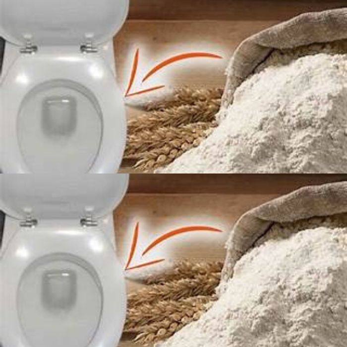 Flour in your toilet! A miracle product